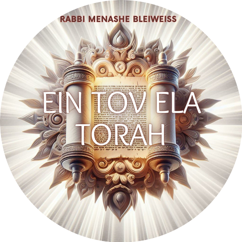 Rabbi Menashe Bleiweiss