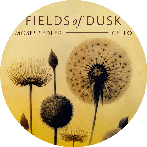 Moses Sedler