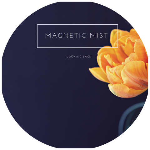 Magnetic Mist