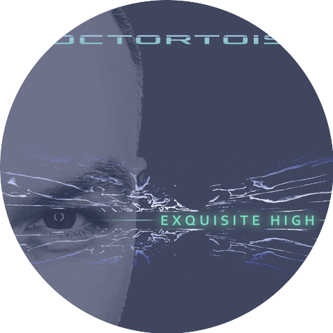 Noctortoise