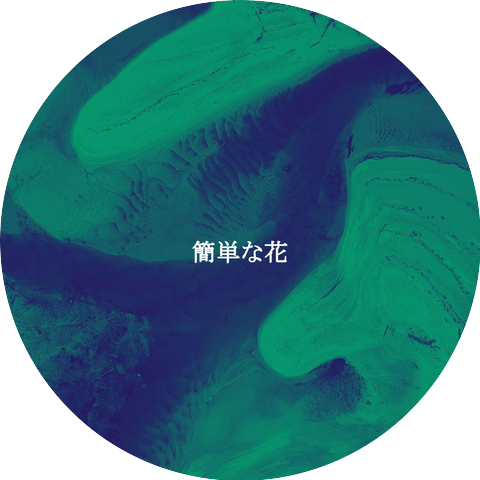 Pure Jazz Coffee Break