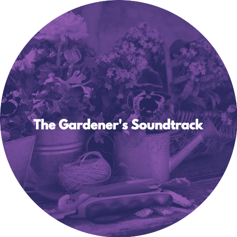 Jazz for Work Moods