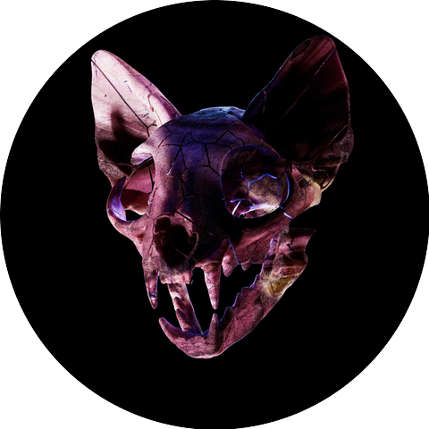 Darci & Jazz Cartier