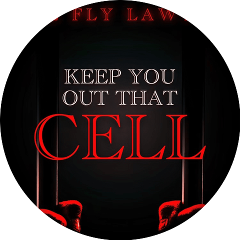 THE FLY LAWYER