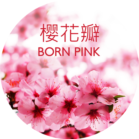 Sakura Season さくら & Asian Folklore
