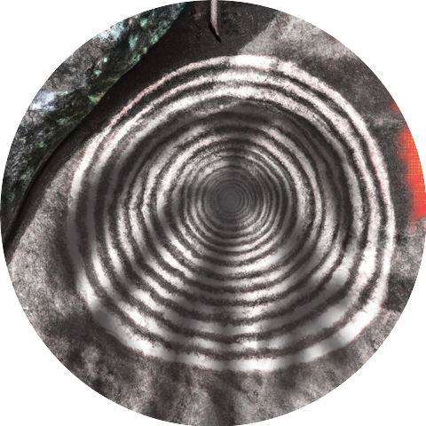 Cortex of Light