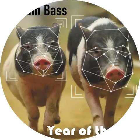 DaDum Bass
