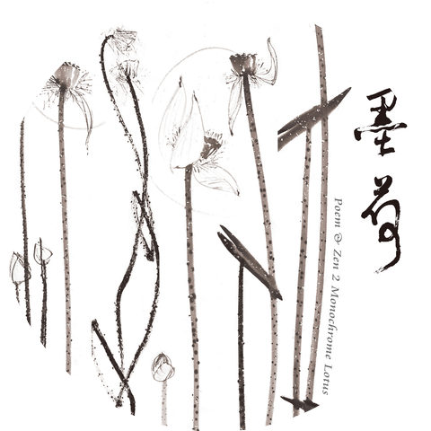 Chi Hua Lin & Evan Wang