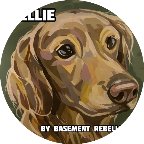 Basement Rebellion