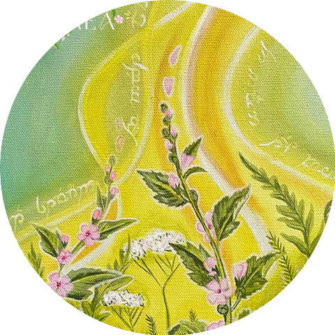 Althaea
