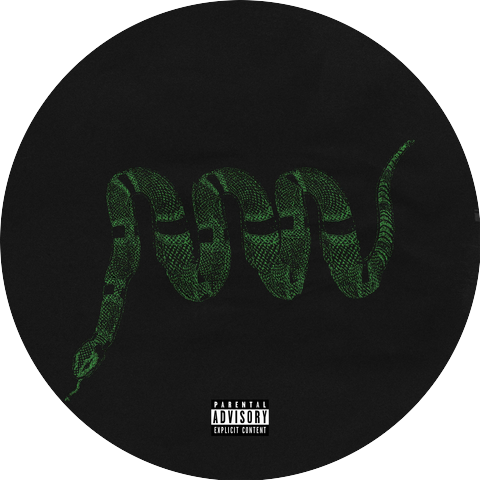CP Dripsta