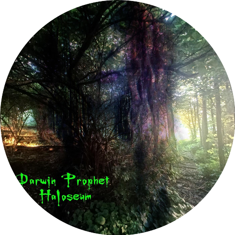 Darwin Prophet
