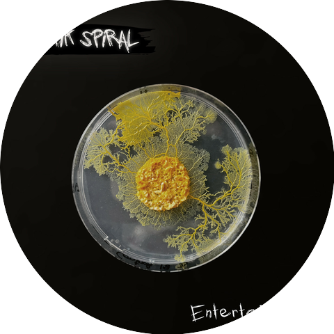 Mystik Spiral
