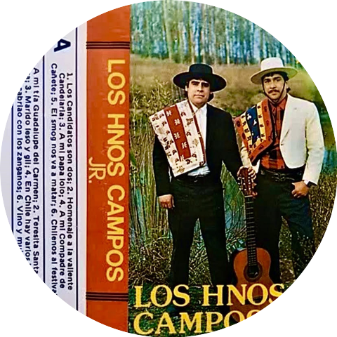 Los Hermanos Campos Jr.