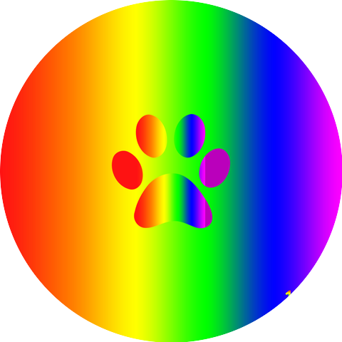 SingularityMirror