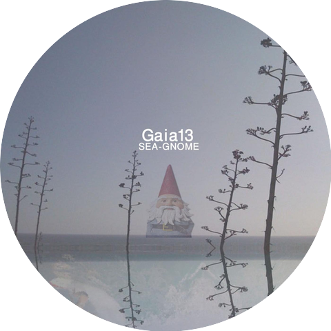 Gaia13