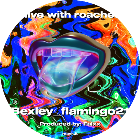 Bexley_flamingo21