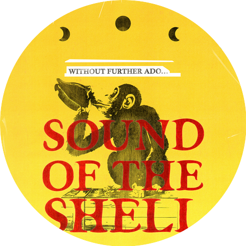 Sound of the Shell