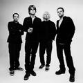 The Nixons