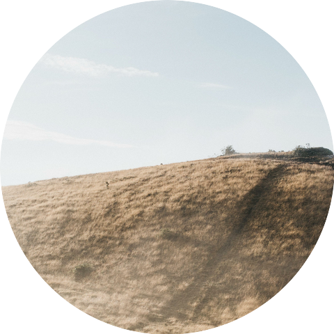 Conexión Música & MiSion Música