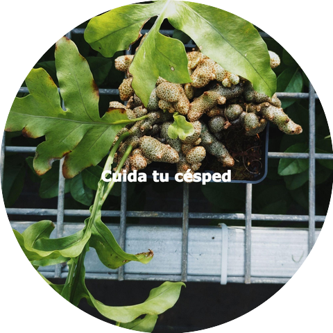 Swinging Romantic Jazz