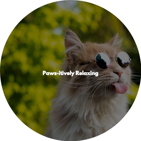 Instrumental Cafe Jazz Background Music