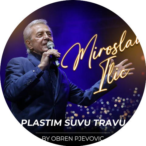 Miroslav Ilic