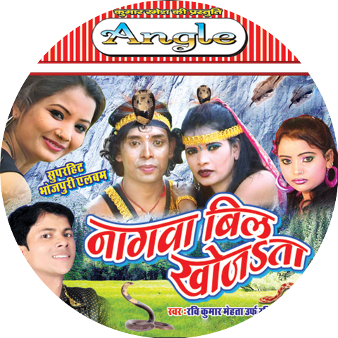Ravi Kumar Mehta & Priti