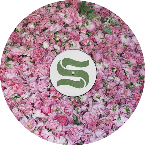 Braxe + Falcon, Paul Woolford and Sunni Colón