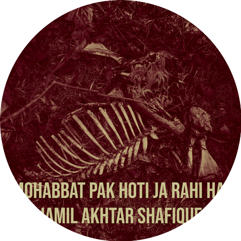 Jamil Akhtar Shafique