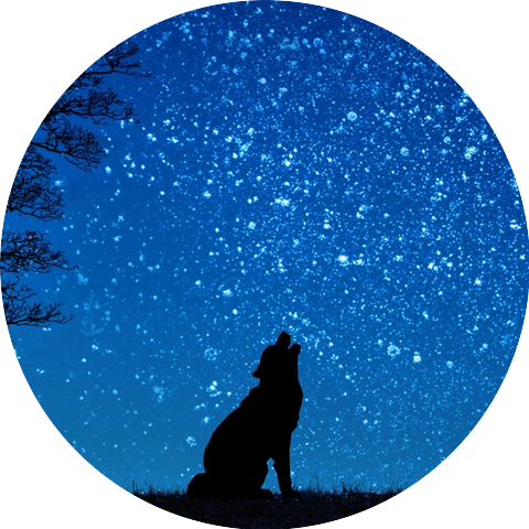 The sound of a wolf howling