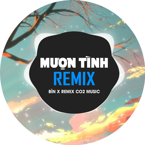 Bìn & Co2 Remix