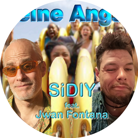 SiDIY
