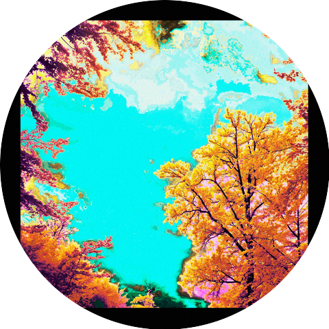 RE/BORN & Kole Audro