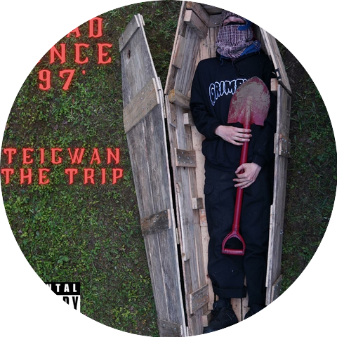 Teigwan the Trip