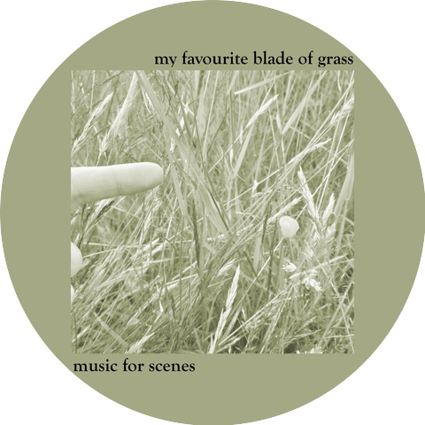 My Favourite Blade Of Grass