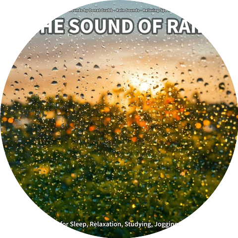 Rain Sounds by Donat Grubb