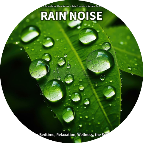 Rain Sounds by Alan Naake