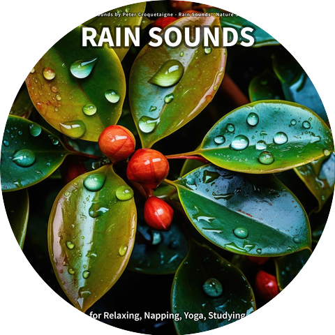 Rain Sounds by Peter Croquetaigne
