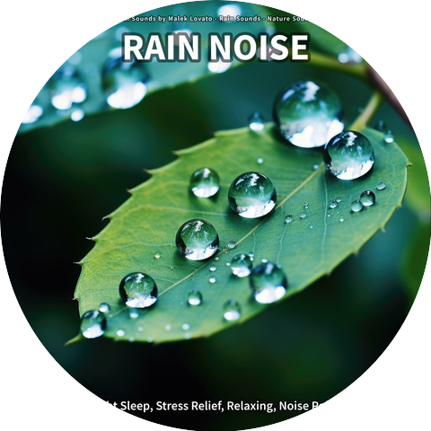 Rain Sounds by Malek Lovato