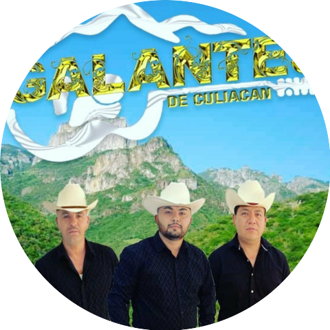 Galantes de culiacan
