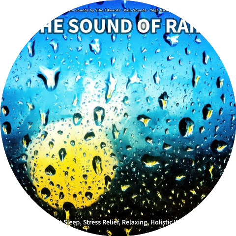 Rain Sounds by Sibo Edwards