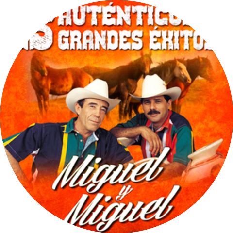 Miguel y Miguel