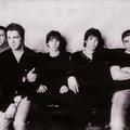 Los Rabanes
