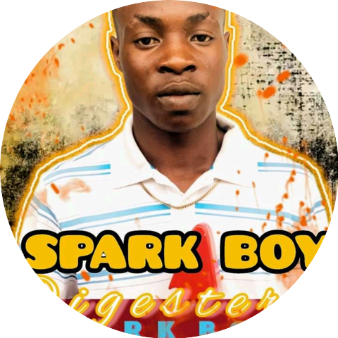 Spark Boy