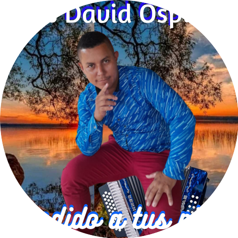 LUIS DAVID OSPINO
