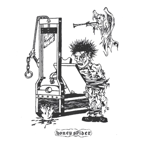 Honey Spider