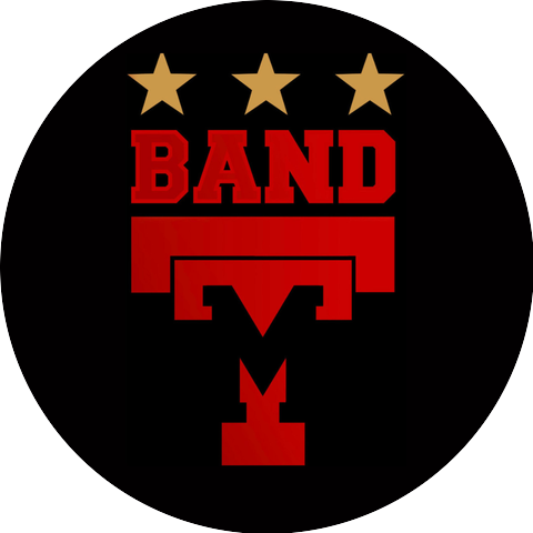 Too Much Talent Band