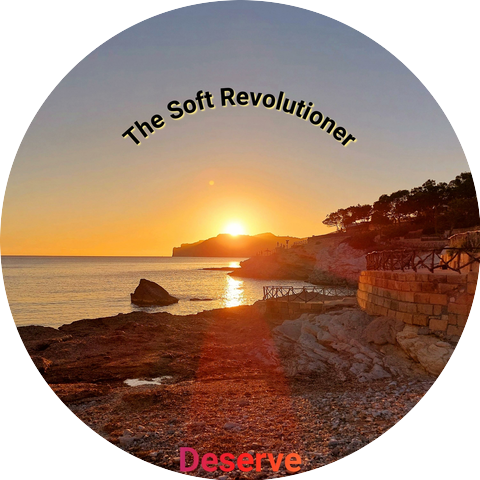 The Soft Revolutioner