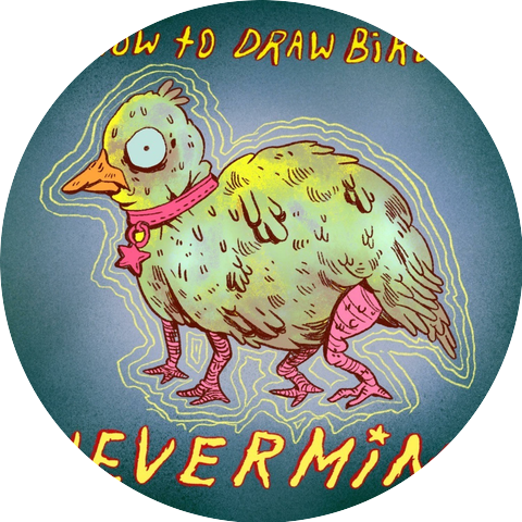 How To Draw Birds